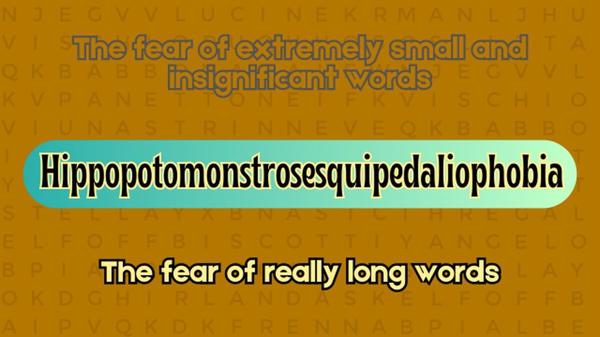 Weird Words Top or Bottom Definition Edition image number null